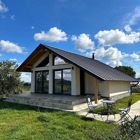 Casa Moderna In Sinteu - Intersectia Intre Modern Si Linistea Naturii Huta Voivozi ภายนอก รูปภาพ