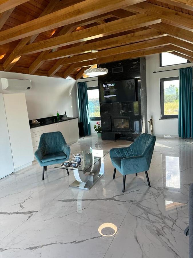 Casa Moderna In Sinteu - Intersectia Intre Modern Si Linistea Naturii Huta Voivozi ภายนอก รูปภาพ